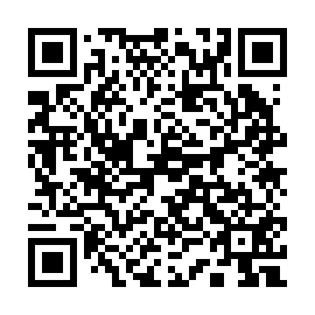 QR code for plate 13K 251