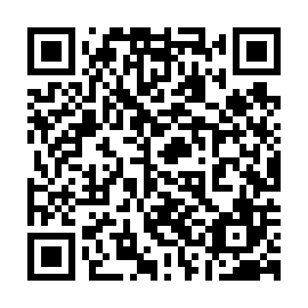QR code for plate 13L V06