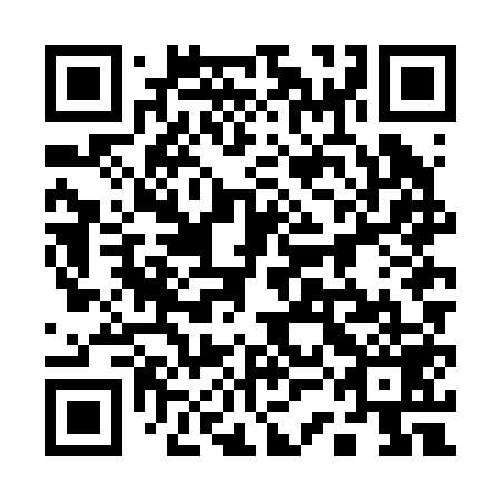 QR code for plate 13N B59