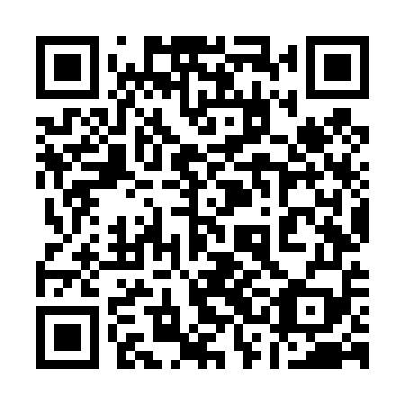 QR code for plate 13N T59