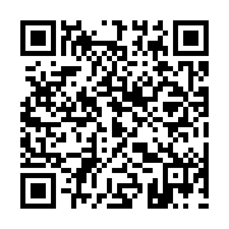 QR code for 13P 382