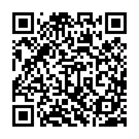 QR code for 13P 441