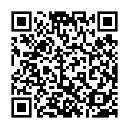 QR code for 13P V38