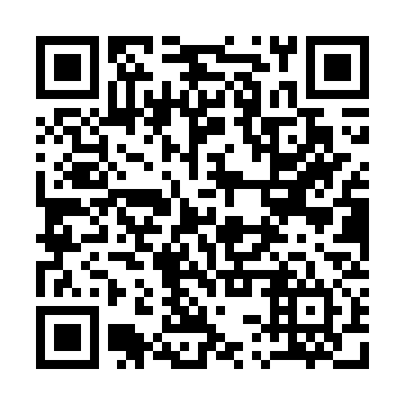 QR code for 13P WS4