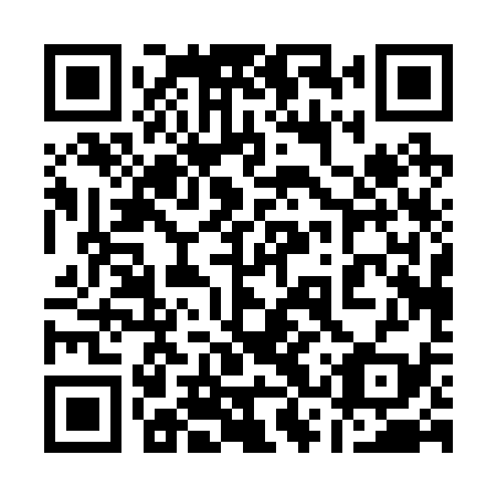 QR code for 13P239