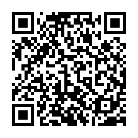 QR code for plate 13P A11