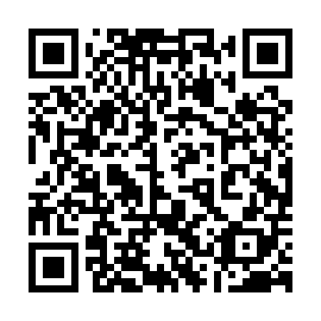 QR code for 13PAP8