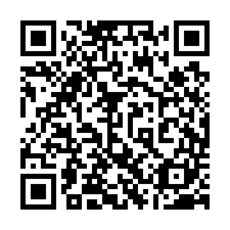 QR code for 13PG41