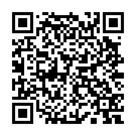 QR code for plate 13P P33