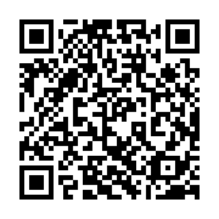 QR code for plate 13P S38