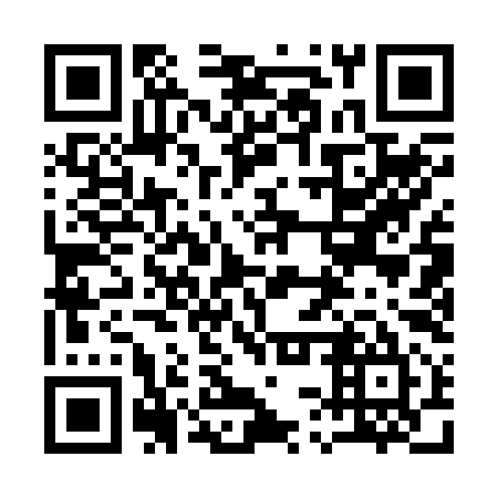 QR code for 13Q 295