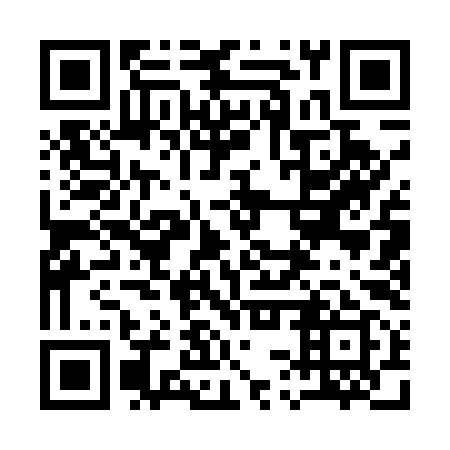 QR code for 13Q 599