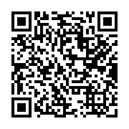 QR code for 13Q Q88