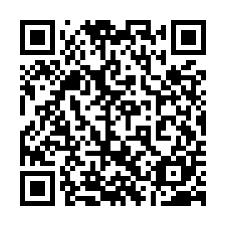 QR code for plate 13S MP5