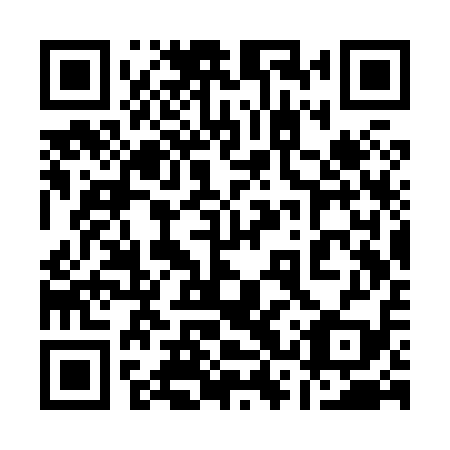 QR code for plate 13S X19