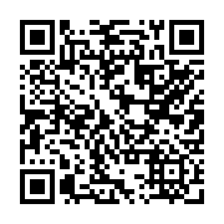 QR code for 13T 239