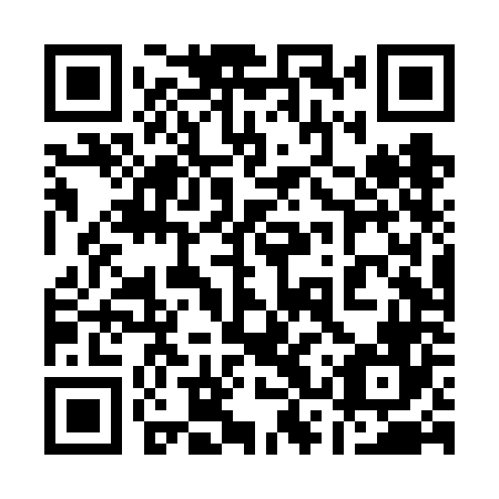 QR code for 13T VN6
