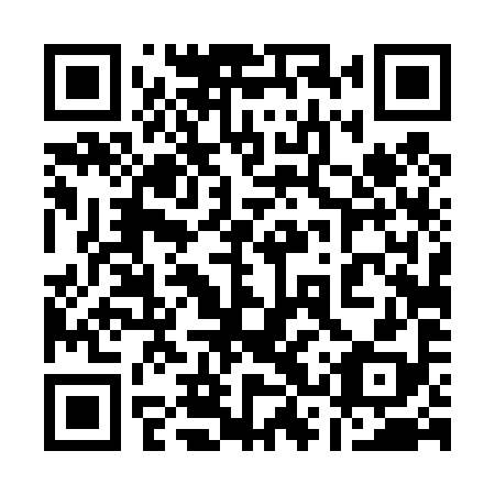 QR code for plate 13T 498
