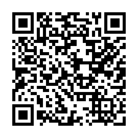 QR code for plate 13T 970