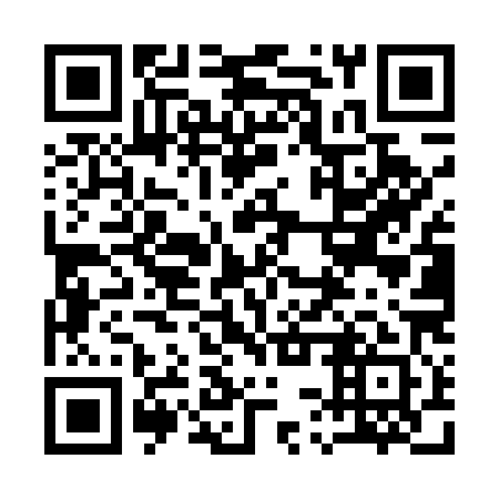 QR code for plate 13T U81