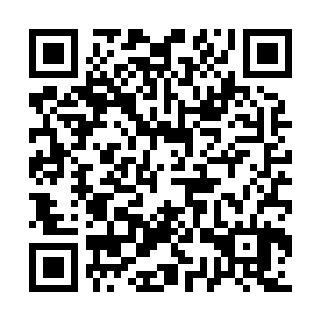 QR code for plate 13T X24