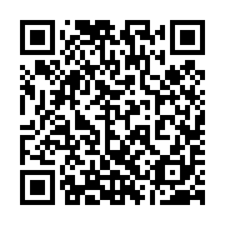 QR code for plate 13V 490