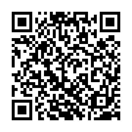 QR code for plate 13V 513