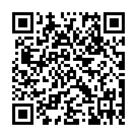 QR code for 13VP31