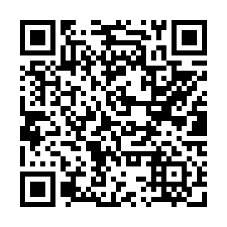 QR code for plate 13V V11