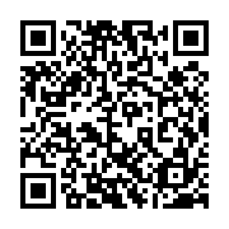 QR code for plate 13W U32
