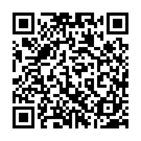 QR code for 13X 323