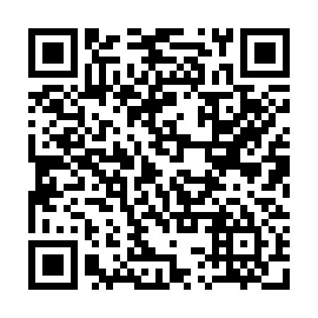 QR code for 13X335