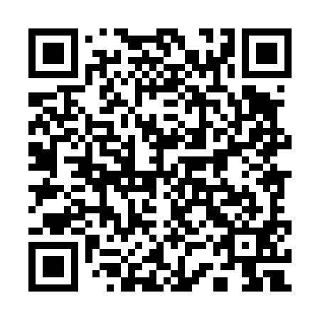 QR code for 13X491