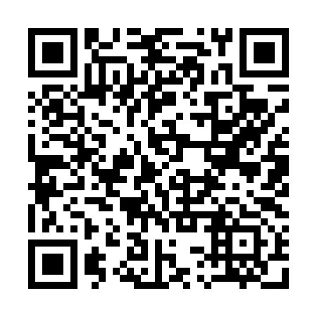 QR code for 13Y 493