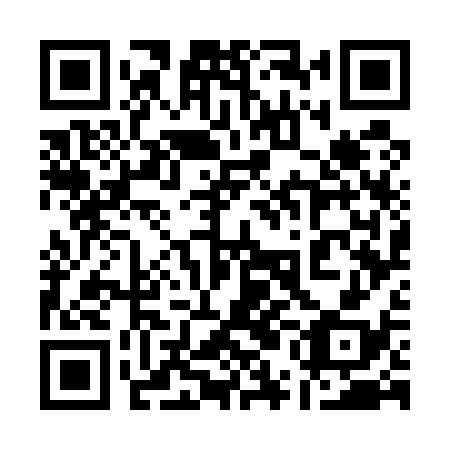 QR code for plate 15G 538