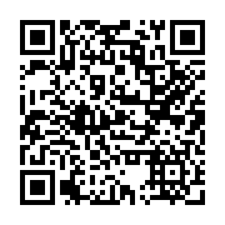 QR code for plate 15P 307