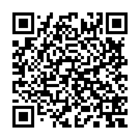 QR code for plate 15P H28