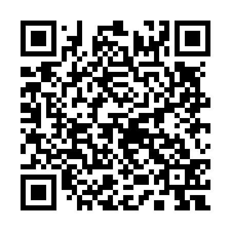 QR code for plate 15Q N33