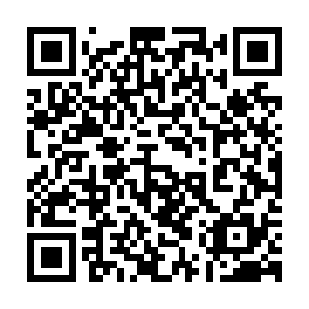 QR code for plate 15T N35