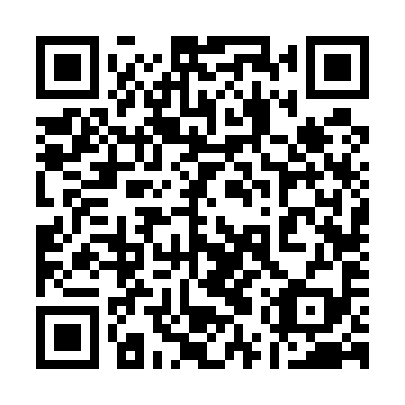 QR code for plate 15V 599