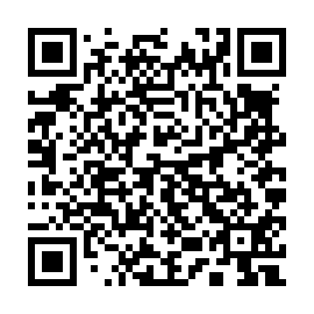 QR code for plate 15V L11