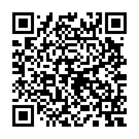 QR code for plate 15Z P95