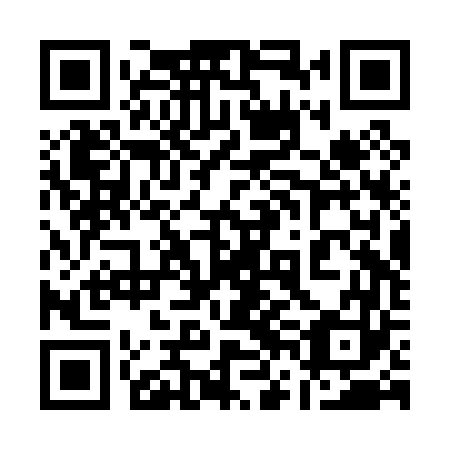 QR code for plate 16B P63