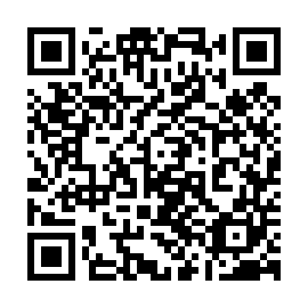 QR code for plate 16G 440