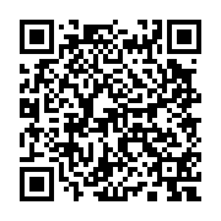 QR code for 16P 010