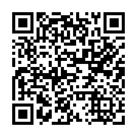 QR code for 16P 132