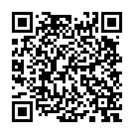 QR code for 16P 462