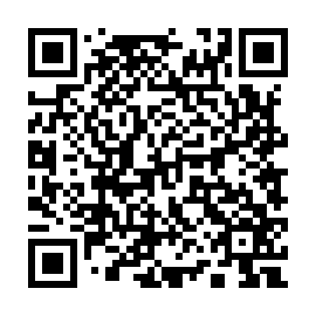 QR code for plate 16T 966