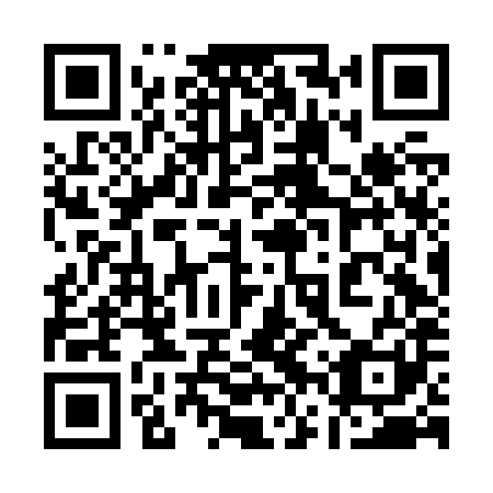 QR code for plate 16V J81
