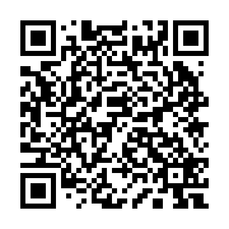 QR code for plate 17A 229